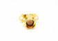 Straight 2 holes Flange Mount Gold Plated SMA Connector Male